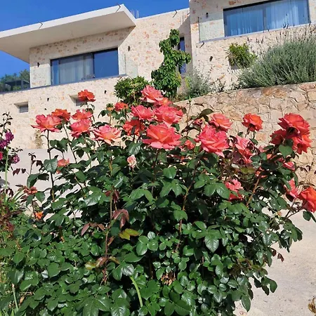 아파트 Mimoza Apelati By 