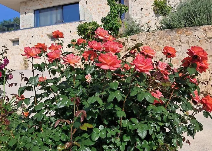 Lägenhet Mimoza Apelati Keri